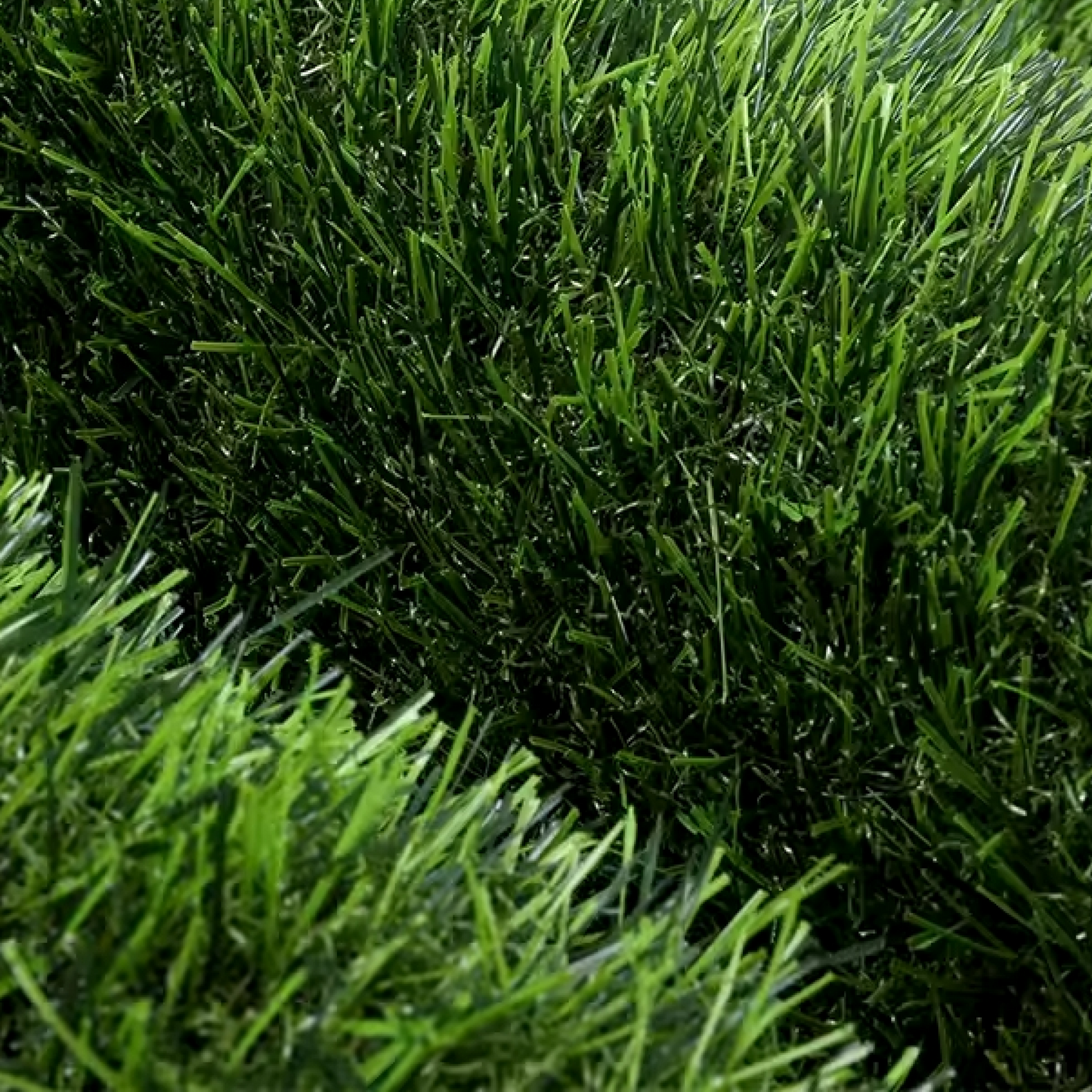 Turf Zoysia - SQFT